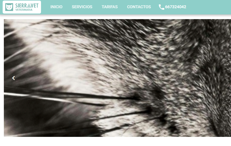 Clinica veterinaria